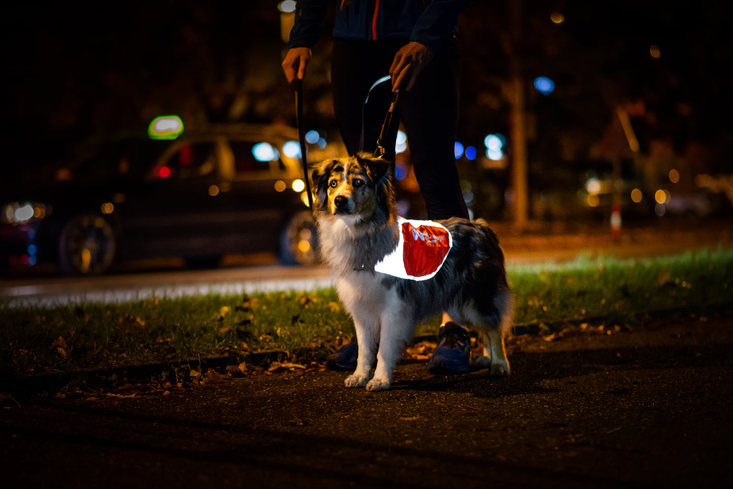 犬用 視野性 夜間反射ブランケット Reflection blanket