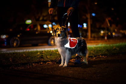 犬用 視野性 夜間反射ブランケット Reflection blanket