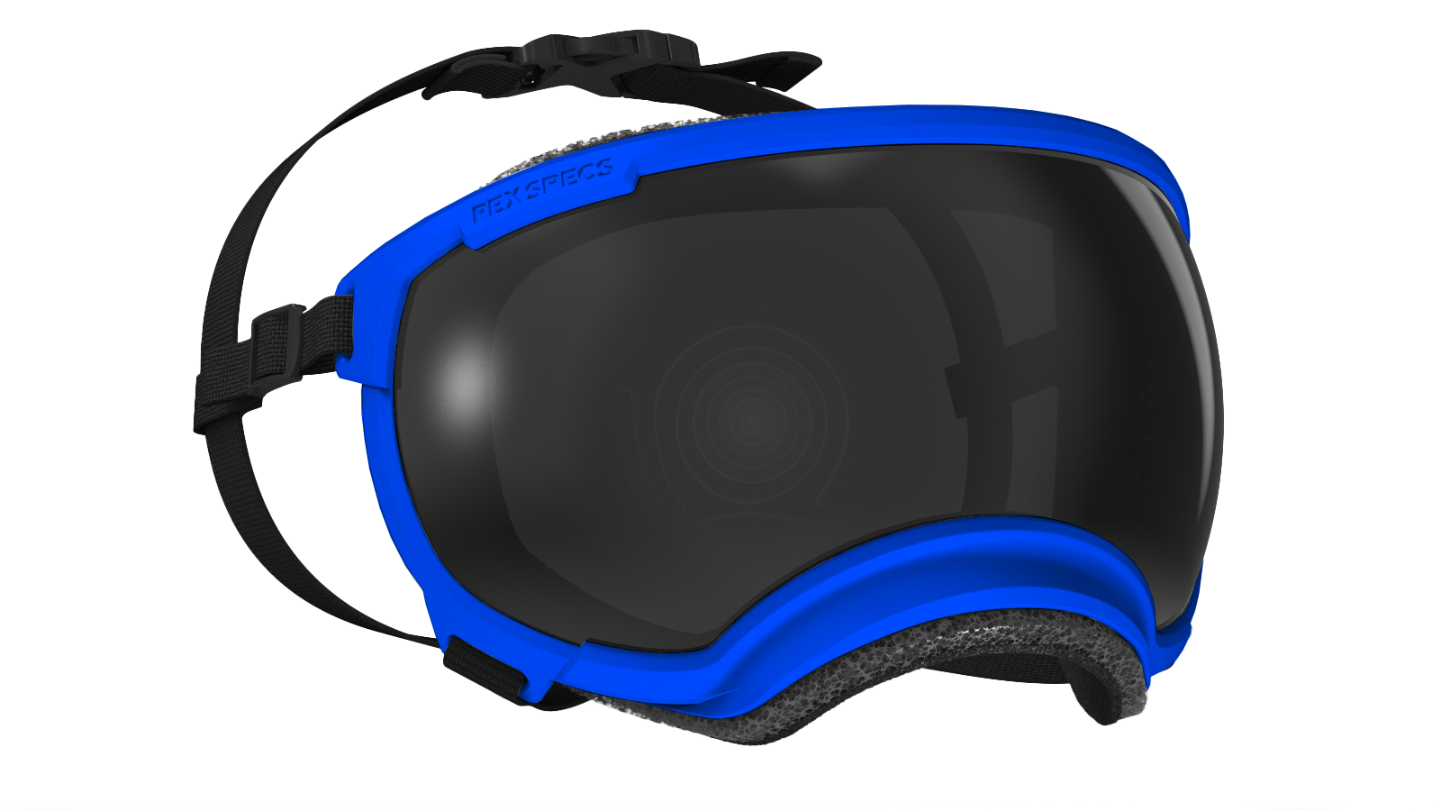 REXSPECS V2 犬用 ゴーグル Sサイズ 小型犬用 黒 レンズ2枚付 楽天 REXSPECS V2 犬用 ゴーグル Sサイズ 小型犬用 黒 レンズ2枚付 楽天
