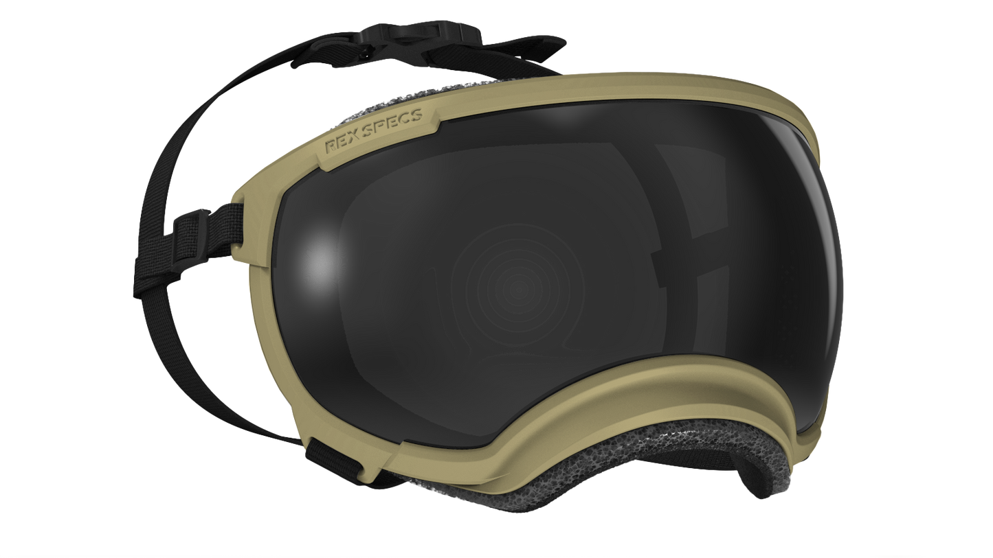 REX SPECS Goggles V2 紫外線対策 【即日配送】