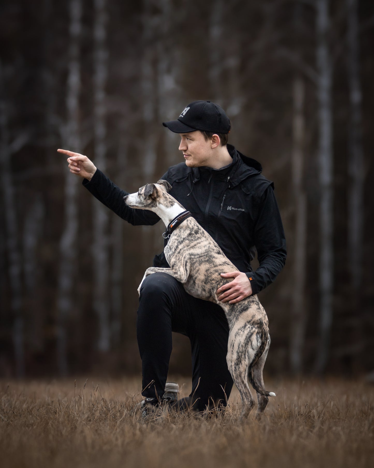Rock collar 3.0 テクニカルな犬用首輪