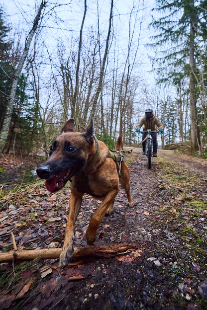 ワーキングドッグ向け 犬用 バンジーリード Touring bungee WD