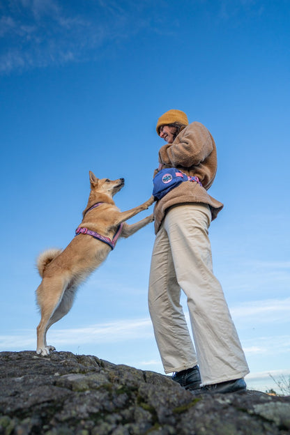 犬用ハーネス 限定コラボ商品！カニクロスにおすすめ Line harness 5.0 Rachel Pohl edition