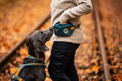 山岳風景カラー コラボ商品 Trail quest collar Rachel Pohl edition
