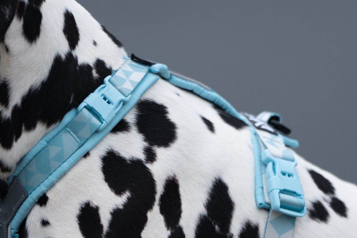 頭を通さず装着 犬用ハーネス Trekking Line harness CLIP'N™
