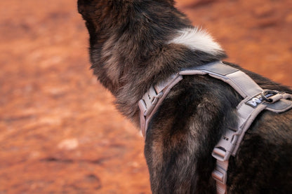 頭を通さず装着 犬用ハーネス Trekking Line harness CLIP'N™