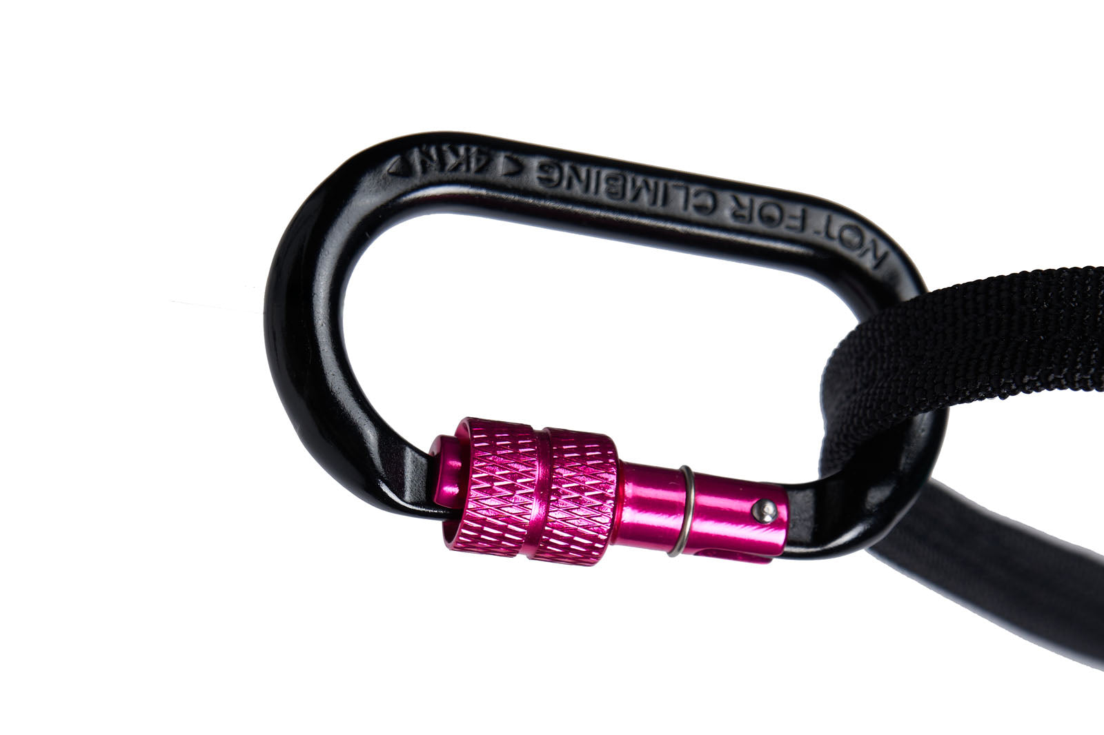 canix_belt_2_aqua-pink_3529-