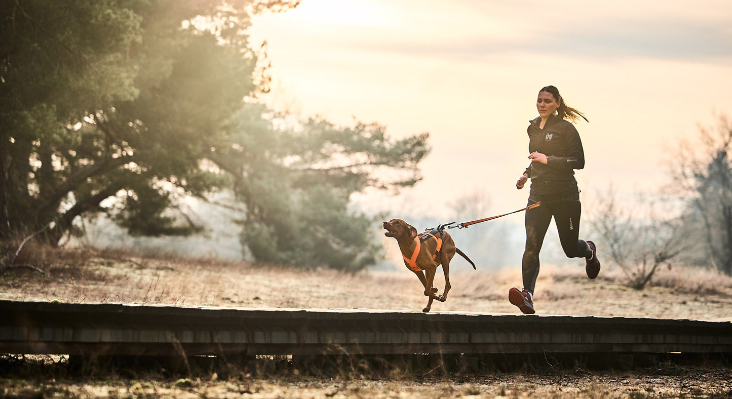 Canix warm-up jacket women's 防風・高ストレッチのドッグスポーツ用ウォームアップジャケット（女性専用設計）