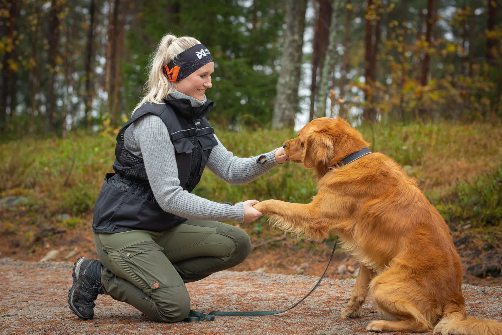 Dog training vest 全天候・オールシーズン対応の本格トレーニング