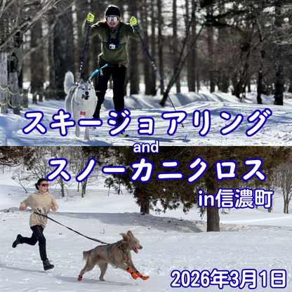 スキージョアリングandスノーカニクロスin信濃町 3/1
