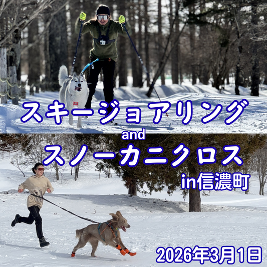 スキージョアリングandスノーカニクロスin信濃町 3/1