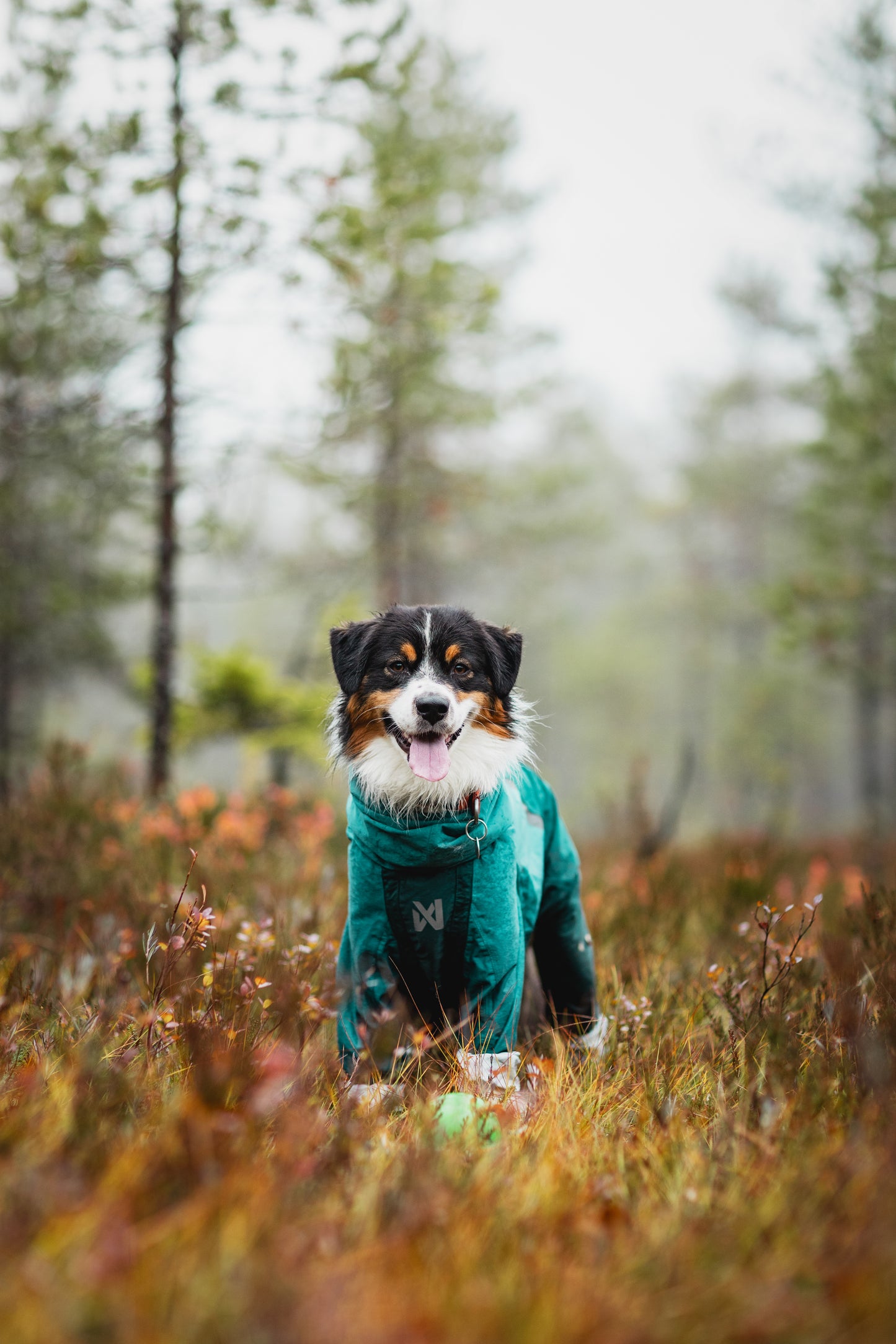 Fjord overall raincoat オーバーオール アクティブレイン