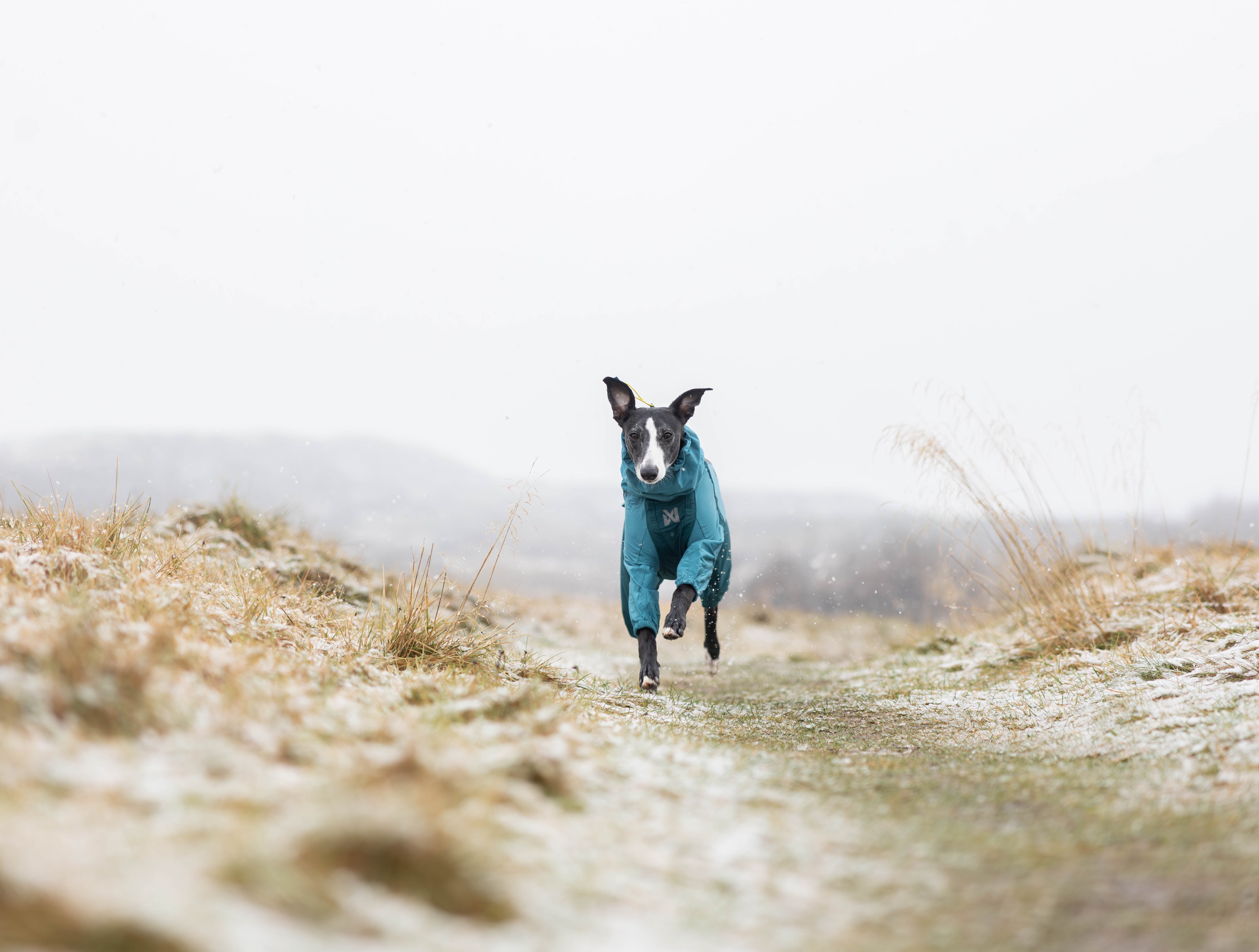 Fjord overall raincoat 全天候対応レインスーツ – イヌと何でも楽しむ