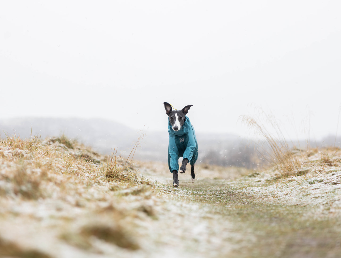 Fjord overall raincoat オーバーオール アクティブレイン