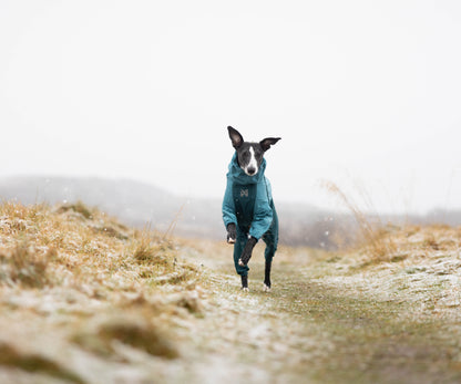 Fjord overall raincoat オーバーオール アクティブレイン