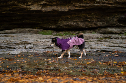 Fjord raincoat 2.0 全天候型ドッグレインコート