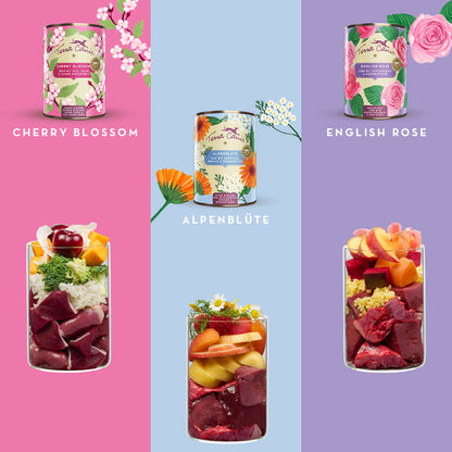 テラカニス フラワーギフトボックス3缶セット【即日配送】