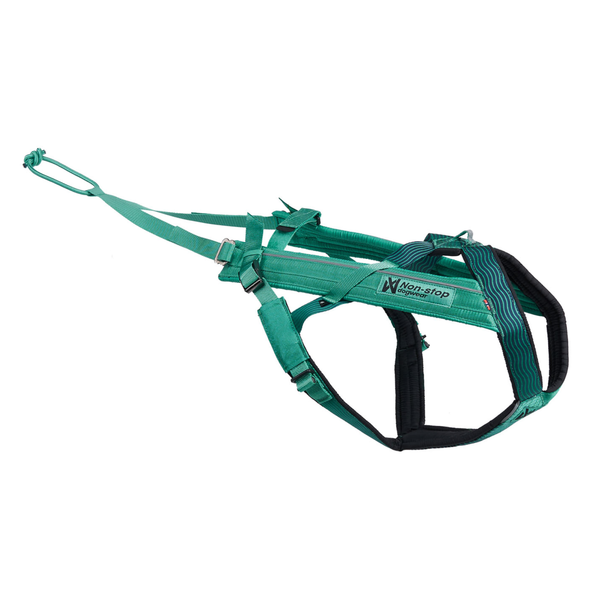 バイクジョアリングはじめてセット（AQUA）犬と自転車で走るための基本3点セット