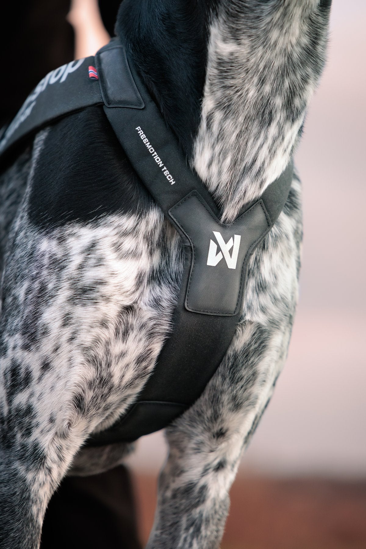 競技用 引っ張るイヌ向けハーネス Freemotion harness pro