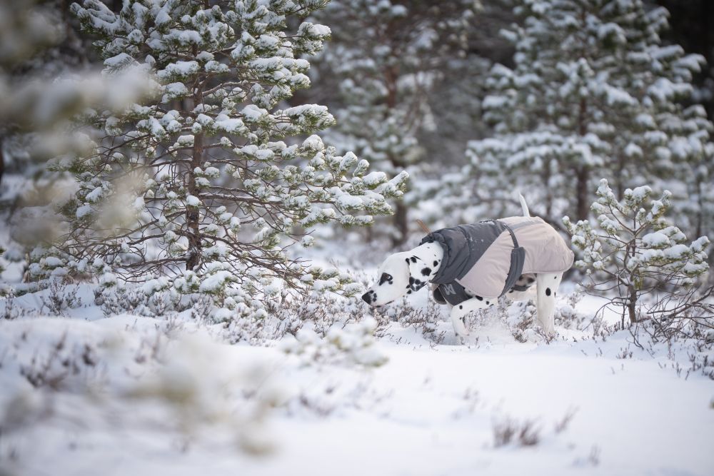 Glacier wool jacket 3.0 極寒でも温かい高機能犬用ジャケット – イヌ