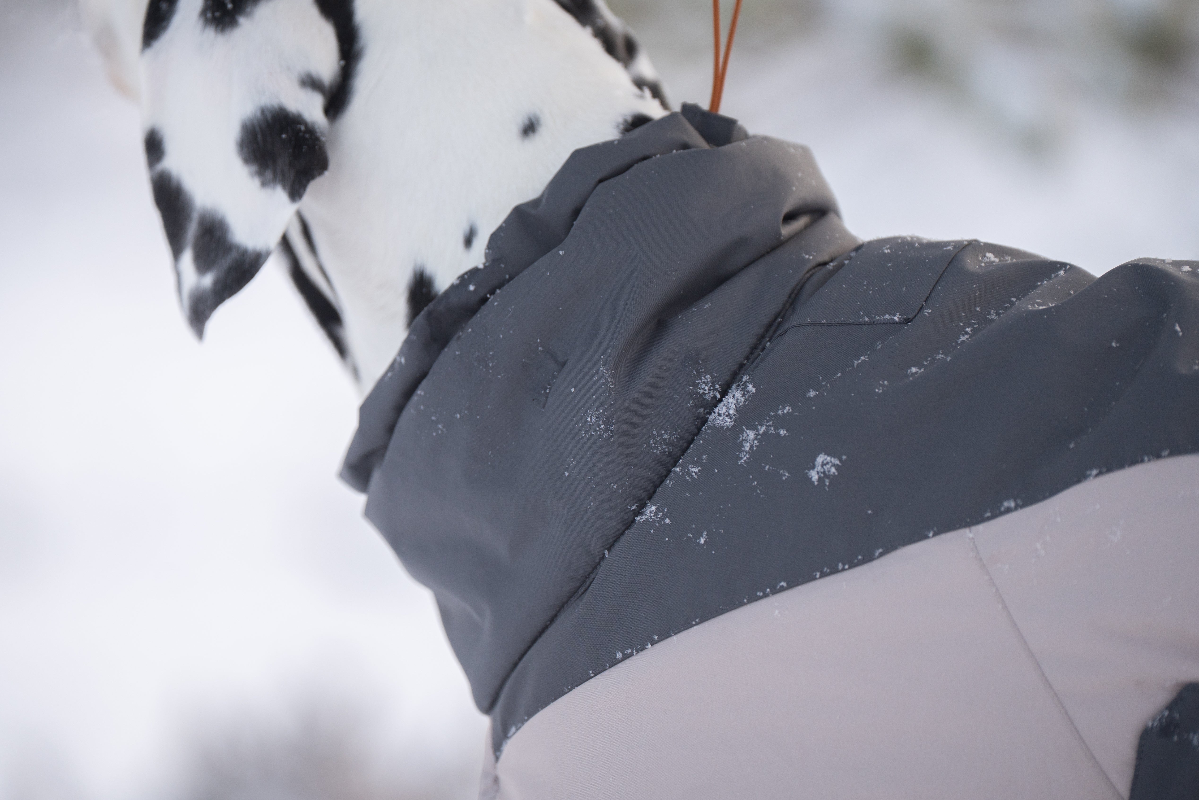 Glacier wool jacket 3.0 極寒でも温かい高機能犬用ジャケット – イヌ