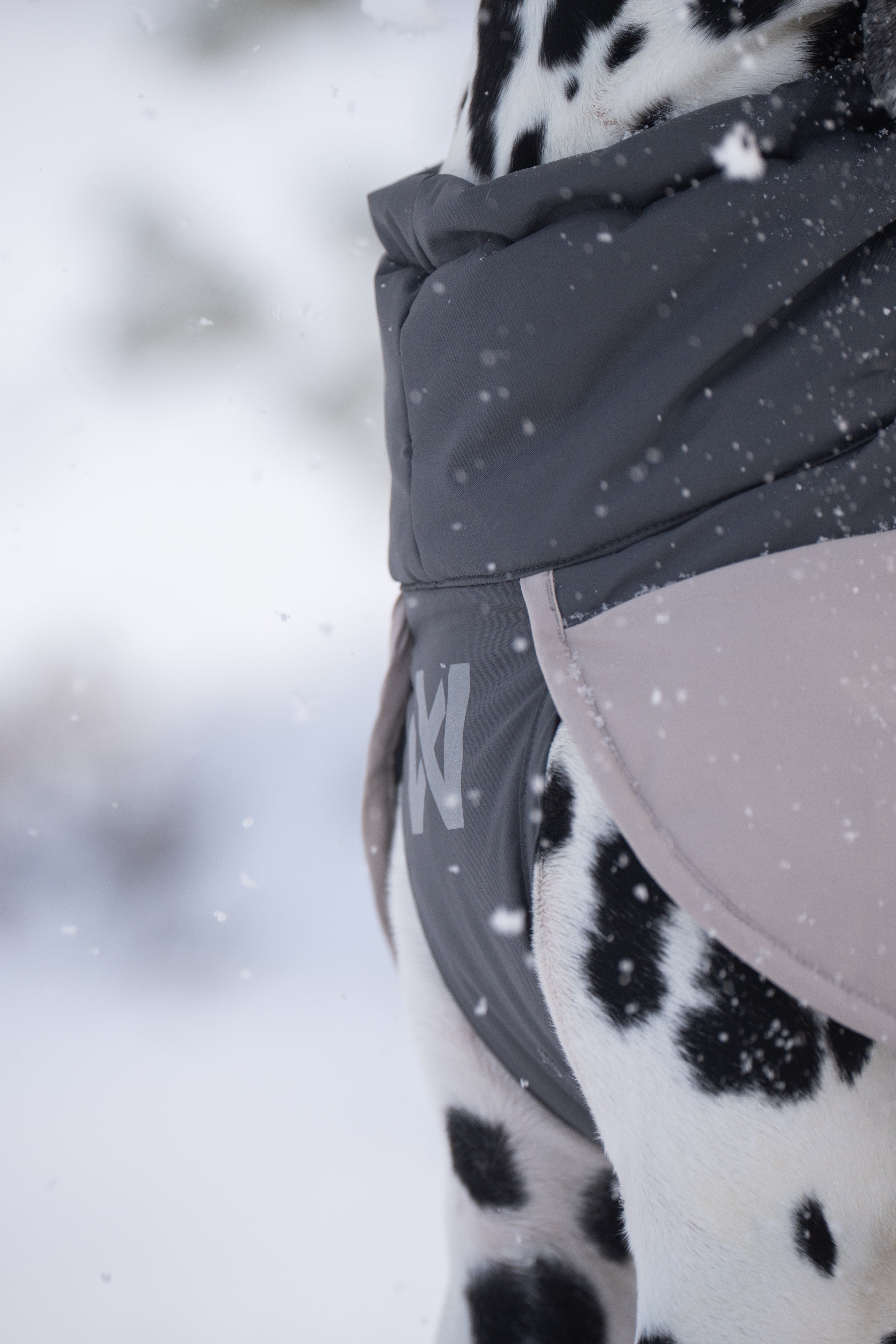 Glacier wool jacket 3.0 極寒でも温かい高機能犬用ジャケット – イヌ