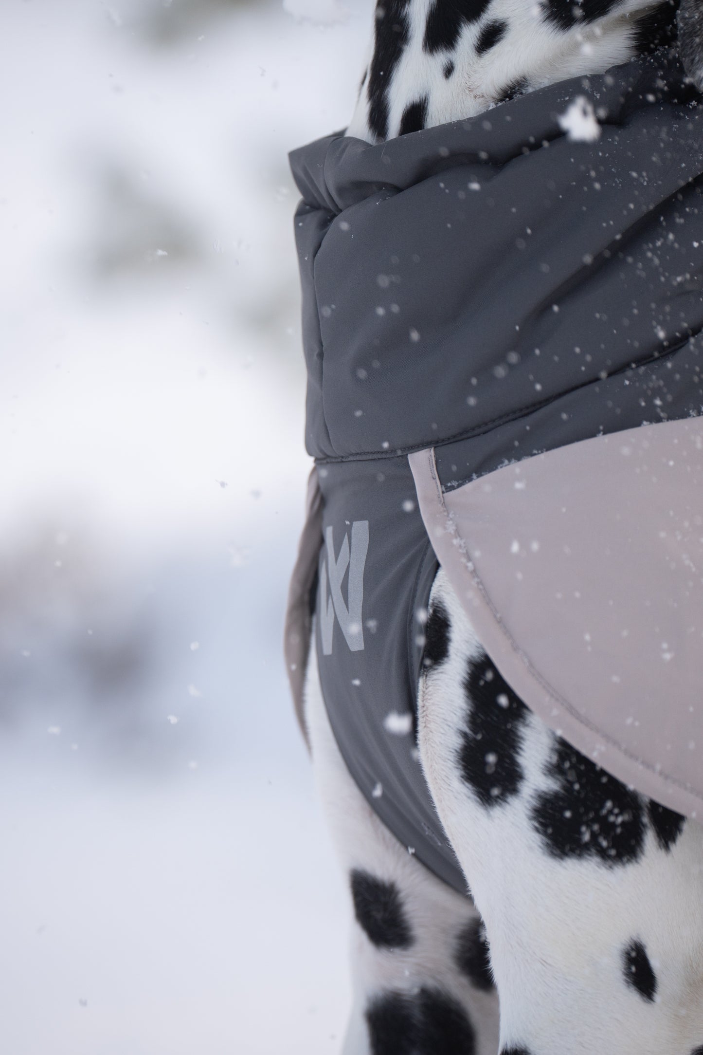 Glacier wool jacket 3.0 極寒でも温かい高機能犬用ジャケット