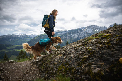 Trail quest dog backpack 犬用 本格アウトドアバックパック