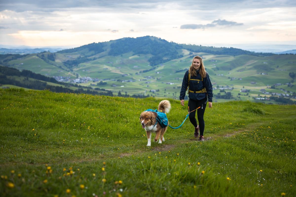 Trail quest dog backpack 犬用 本格アウトドアバックパック