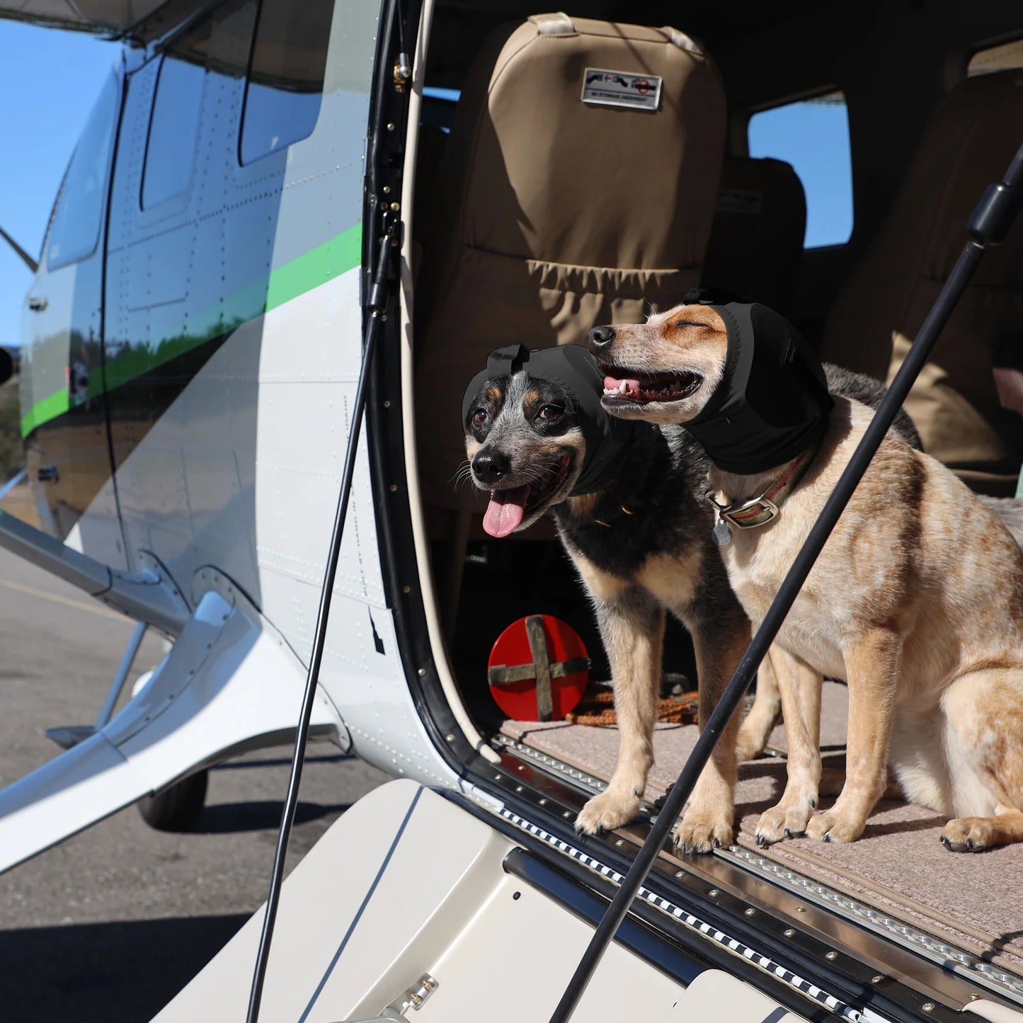 愛犬の耳を騒音から守る！軍用犬も使用するイヤープロテクター Ear Pro for Dogs【即日配送】