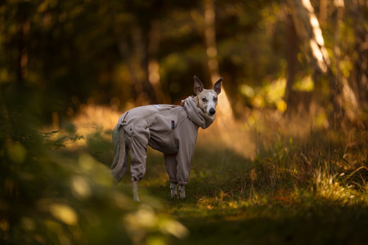 Trail quest fleece overall 寒さに強いアクティブ犬用防寒着