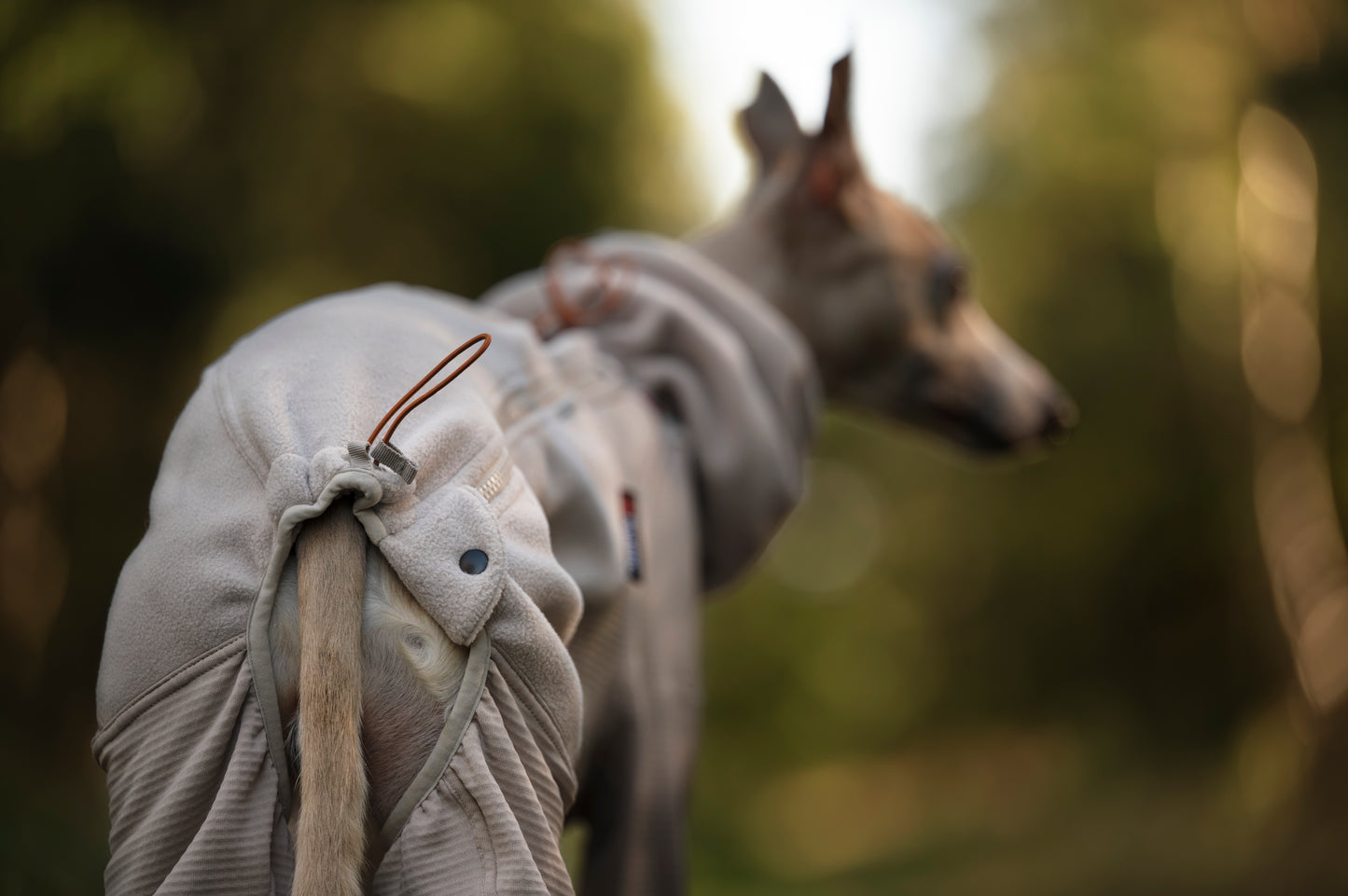 Trail quest fleece overall 寒さに強いアクティブ犬用防寒着