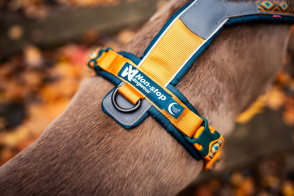 犬用ハーネス 限定コラボ商品！カニクロスにおすすめ Line harness 5.0 Rachel Pohl edition