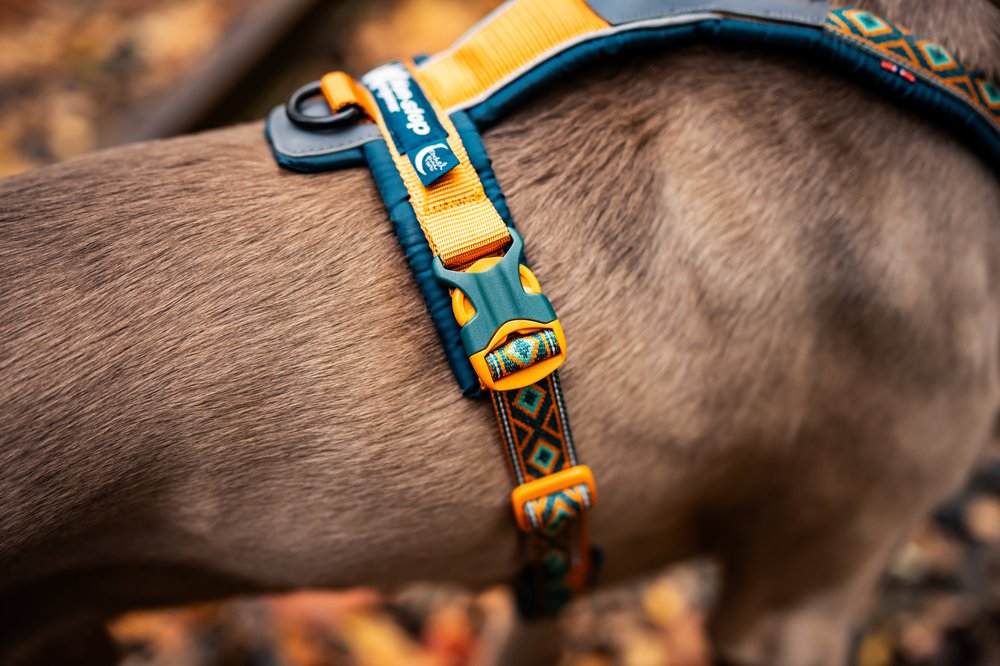 犬用ハーネス 限定コラボ商品！カニクロスにおすすめ Line harness 5.0 Rachel Pohl edition