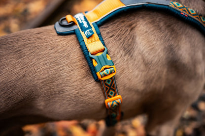 犬用ハーネス 限定コラボ商品！カニクロスにおすすめ Line harness 5.0 Rachel Pohl edition