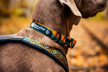 山岳風景カラー コラボ商品 Trail quest collar Rachel Pohl edition