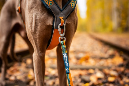 山岳風景カラー コラボ商品 Trail quest collar Rachel Pohl edition
