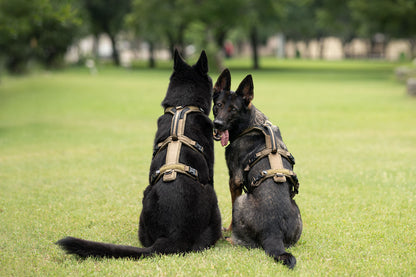 Line harness long WD 大型犬体重重い子に