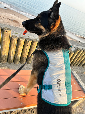 北国なので使い勝手が良い | #1600026