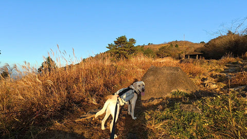 山登りに | #1912988