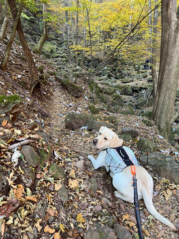 山登りに | #1912988