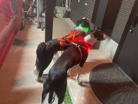 走るための装備 | #1951231