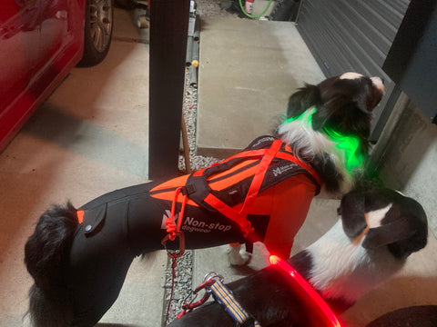 走るための装備 | #1951231