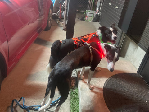 走るための装備 | #1951231