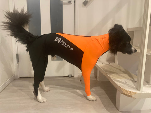 くっつき虫対策 | #1967155