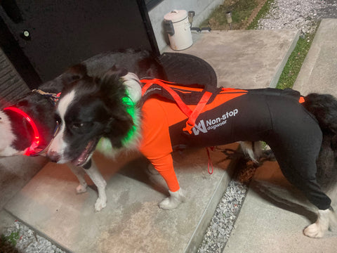 くっつき虫対策 | #1967155