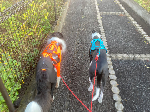 カッコ良いです。 | #1980520