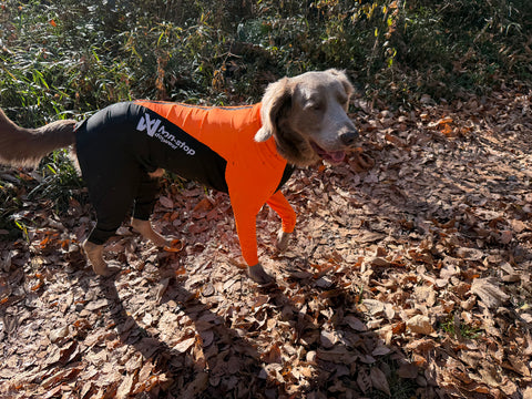 狩猟用に | #2004017