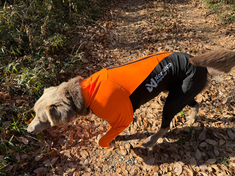 狩猟用に | #2004017