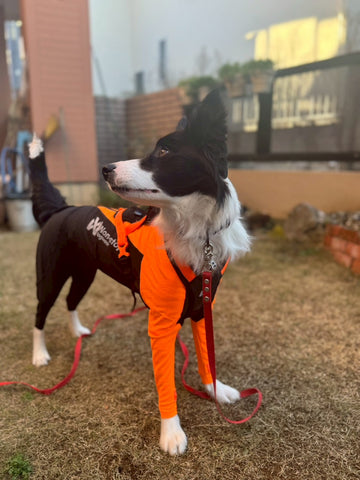 Protector suit | #2062587